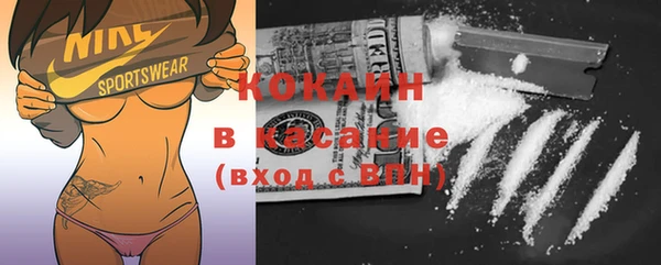 спиды Вяземский