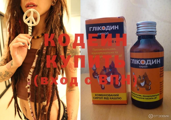 спиды Вяземский
