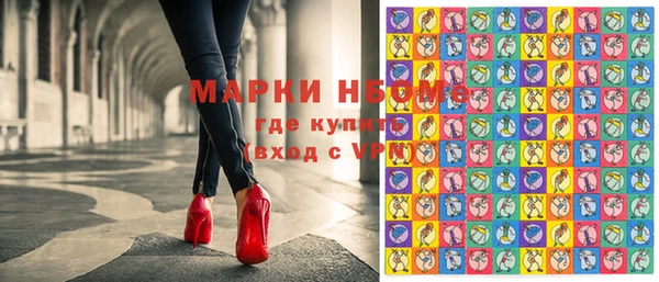 спиды Вяземский