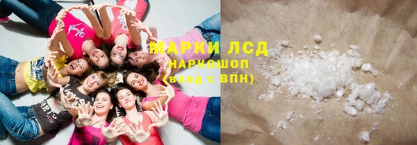 спиды Вяземский