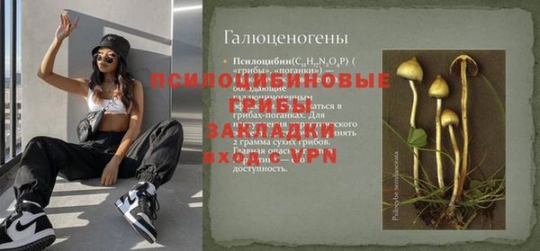 спиды Вяземский