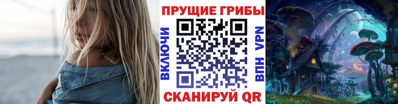 Купить  Славянск-на-Кубани  Псилоцибиновые грибы мухоморы 